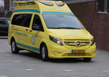 Bas 103